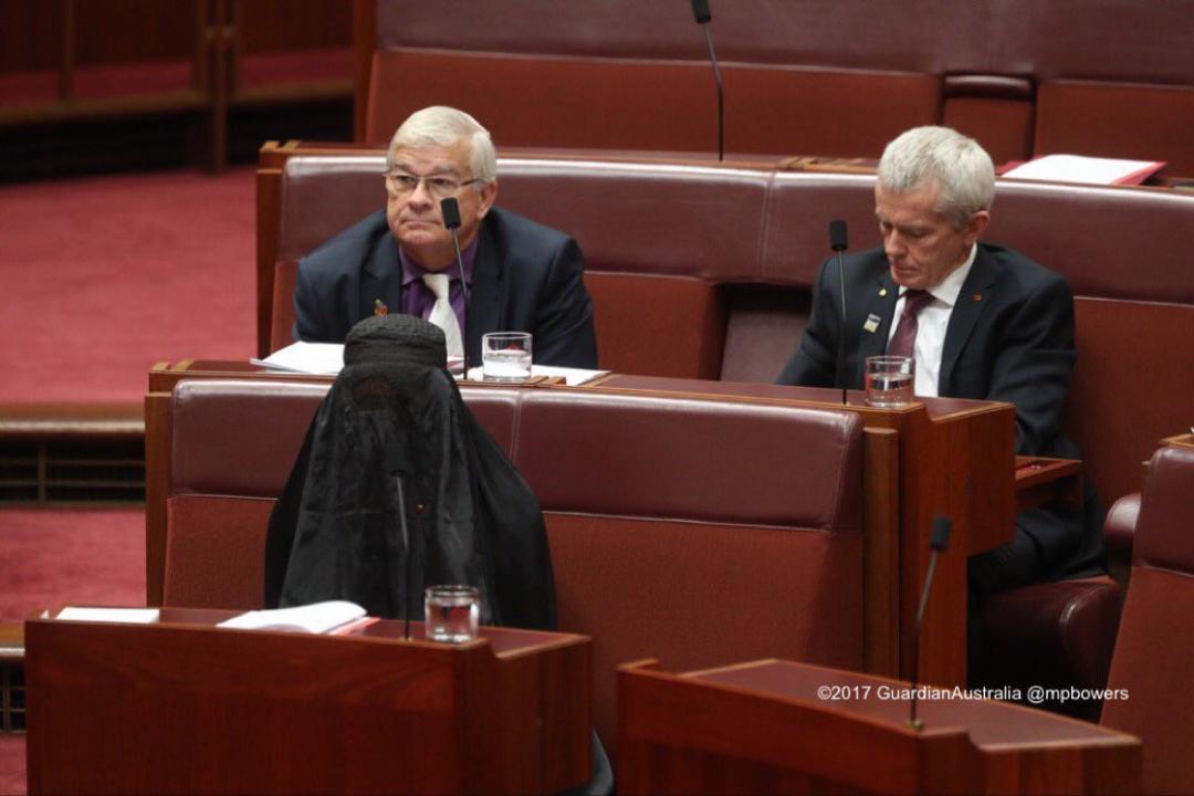 Pauline Hanson Under Fire Over Burka Senate Stunt. Credit - Australian Parliament House via Storyful