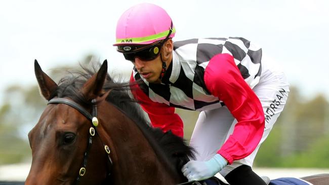 Ashley Morgan looks well placed to land a couple winners at Gosford. Picture: Getty Images