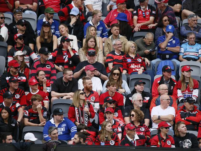 Bears fans at the grand final. Picture Warren Gannon Photography