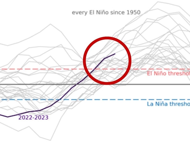 The current trajectory of sea surface temperatures in the XXX tropical Pacific, compared to that of all El Nino events since 1950. Picture: NOAA