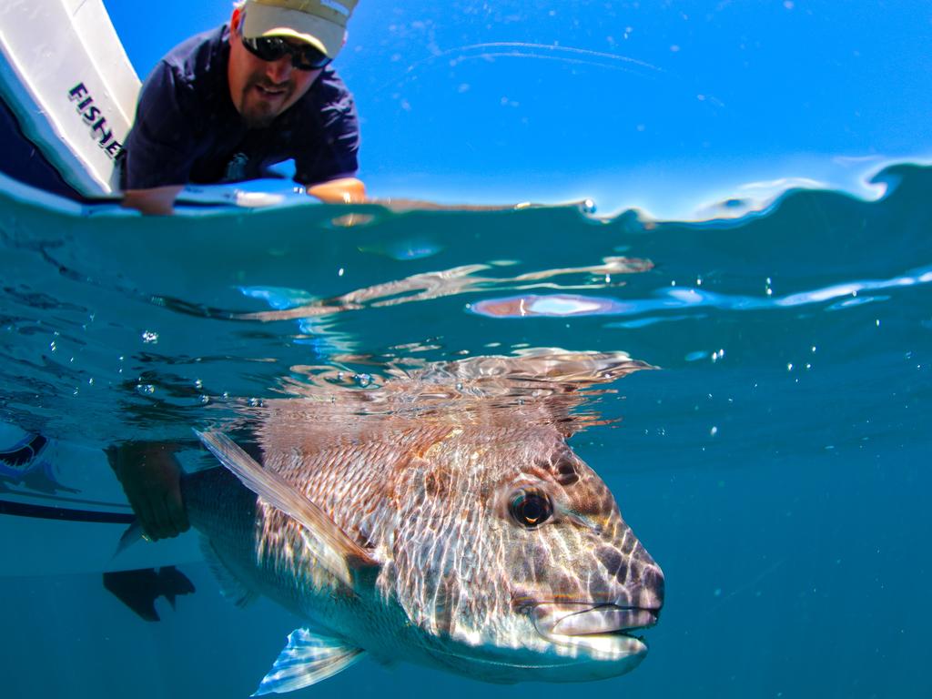 Al McGlashan reveals how to catch big snapper in NSW and why the ...