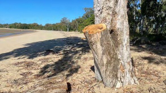 'Extremely significant' vegetation vandalism near Hodges Rd, Shoal Point. Picture: Mackay Regional Council