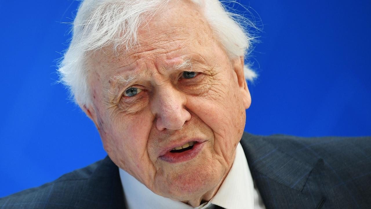 BBC legend Sir David Attenborough also spoke of his heartbreak over the dying Great Barrier Reef. Picture: Mandel Ngan/AFP