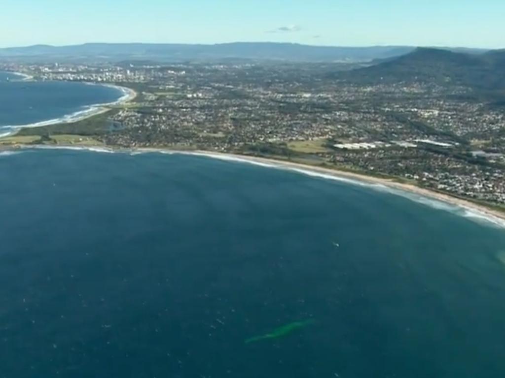 Critics says the construction will disturb the massive migration of humpback whales up and down the coast every year.