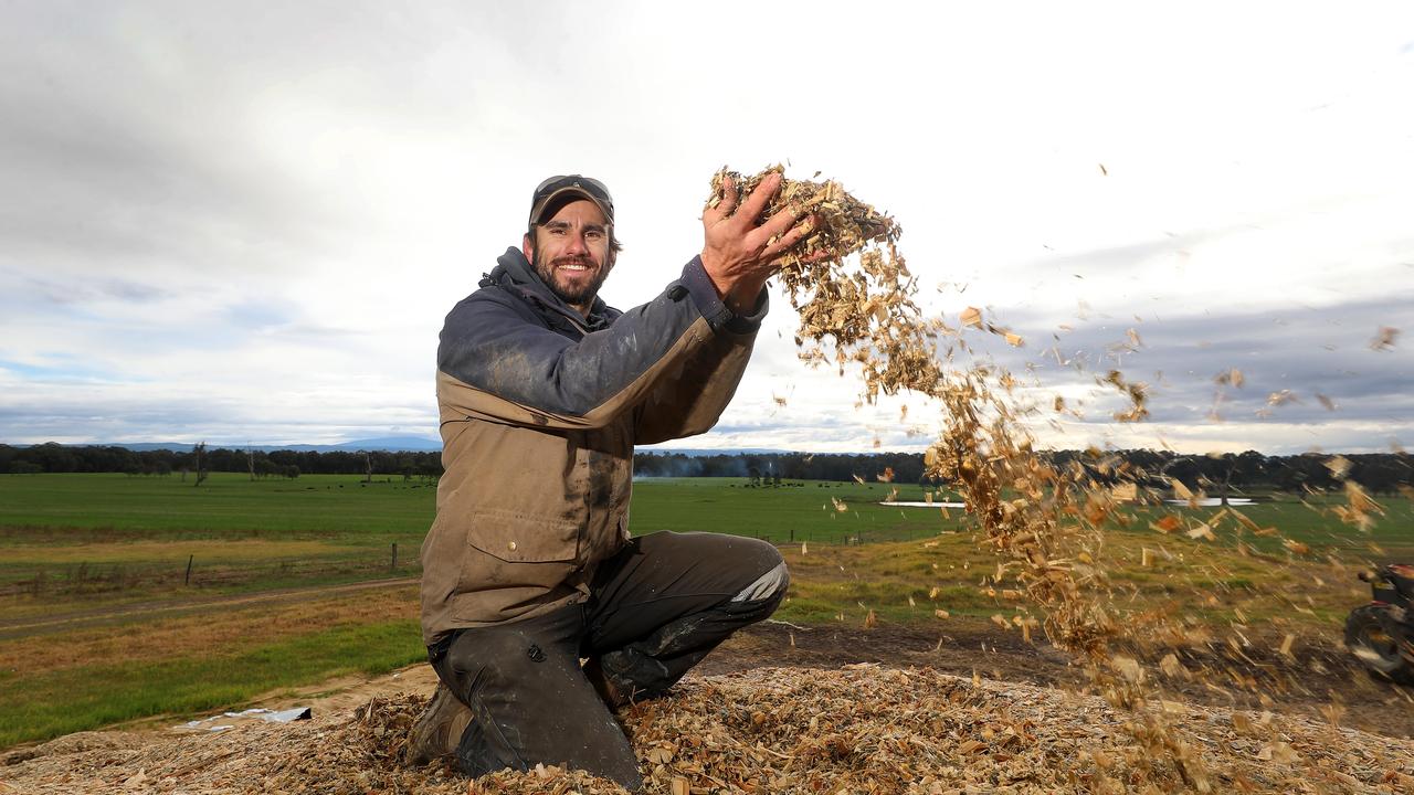 Gippsland farmer uses maize pit as drought strategy
