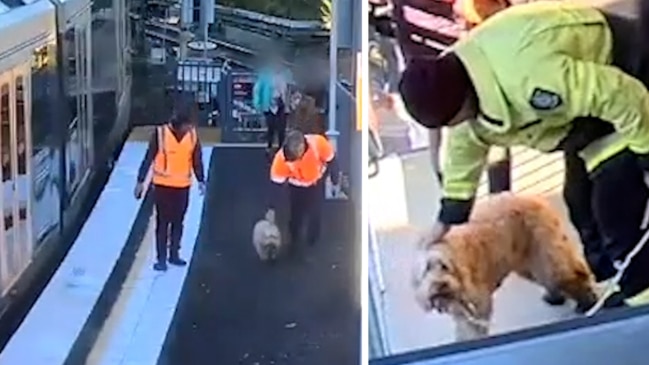 The Sydney train station sign that’s a nightmare for tourists | escape ...