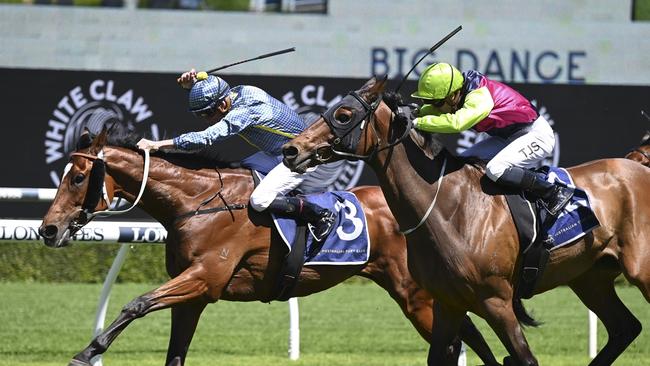 Rustic Steel wins the inaugural The Big Dance for trainer Kris Lees and jockey Nash Rawiller at Royal Randwick on November 1, 2022. Picture: Bradley Photos