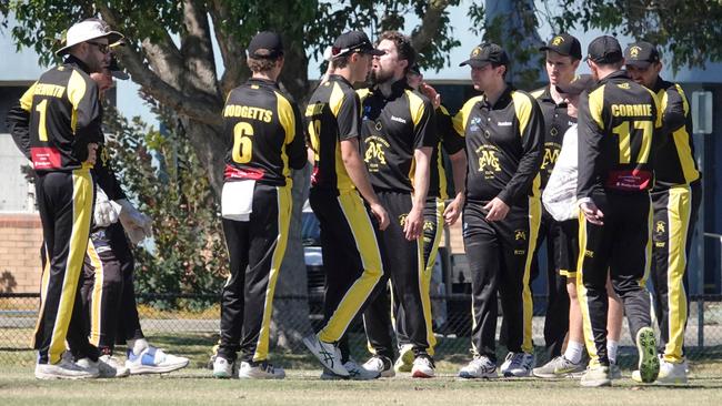 Mentone players celebrate a wicket on Saturday. Picture: Valeriu Campan