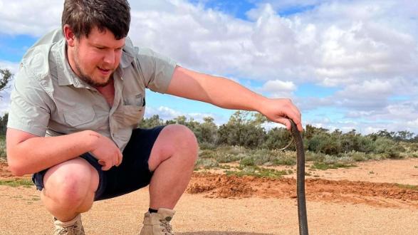 Snake catcher Max Tibby has already been called out to multiple jobs after offering his help for free to Riverland residents just a day ago. Picture: Supplied.