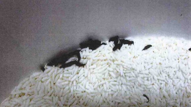 Rat droppings in the rice bucket. Picture: ACT Magistrates Court