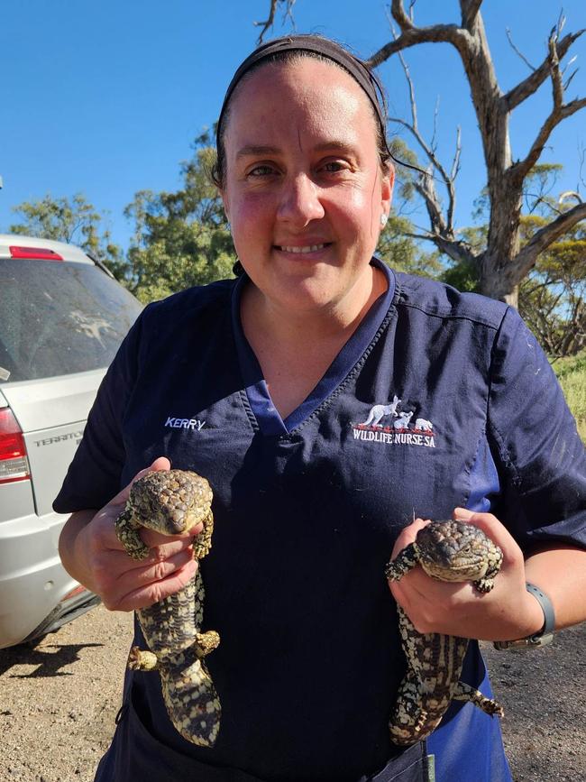 Wildlife nurse Kerry Machado is doing her piece to save animals trapped in the flood disaster. Picture: Animal Rescue Cooperative