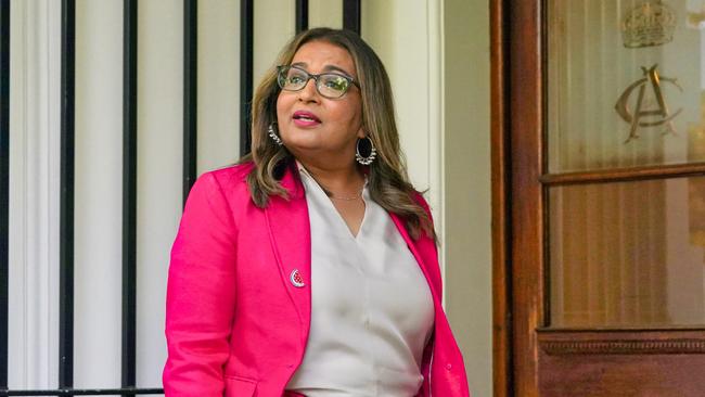 NSW senator Mehreen Faruqi has been re-elected deputy Greens leader. Picture: NewsWire / Luis Enrique Ascui