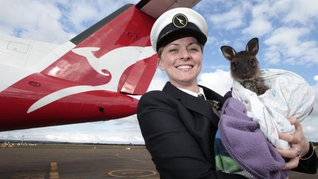 Qantaslink captain Arika Maloney at Kangaroo Island airport with Otto the joey. Qantaslink will start flights to KI in December. Pic: Tait Schmaal.