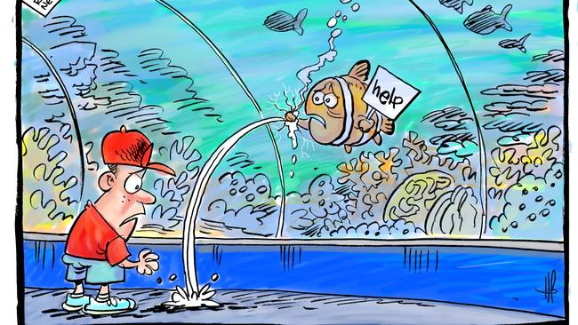 Harry's toon for Townsville Bulletin 2/3/20
