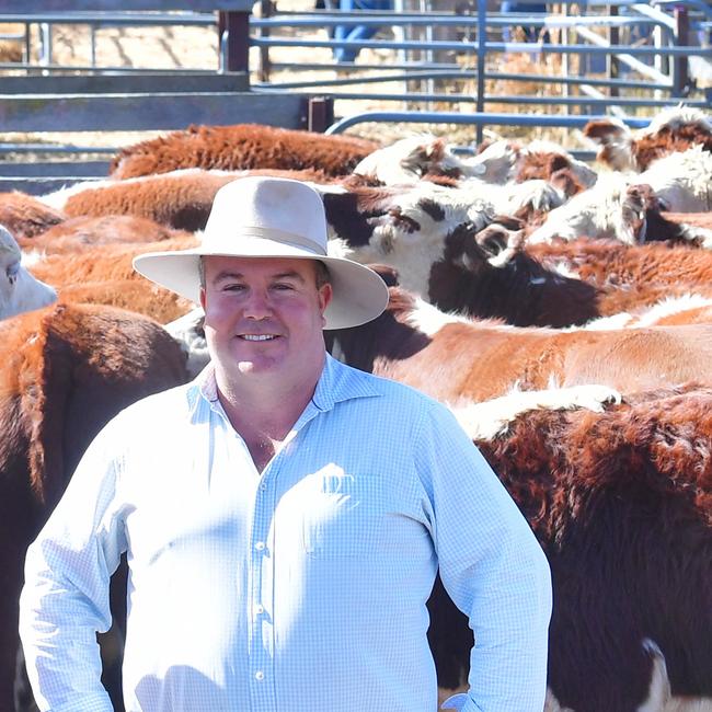 Injemira beef genetics principal Marc Greening pictured at the annual calf sales. Picture: Zoe Phillips