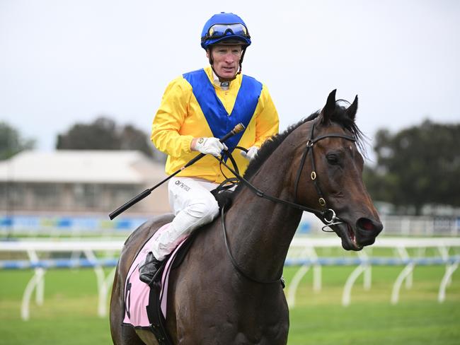 Mark Zahra will ride on Launceston Cup Day. (Photo by Vince Caligiuri/Getty Images)