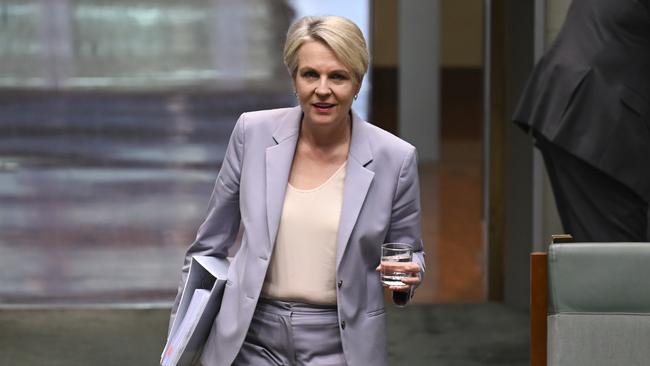 Minister for the Environment and Water of Australia, Tanya Plibersek during Question Time at Parliament House in Canberra. Picture: NewsWire / Martin Ollman