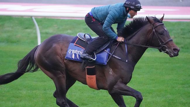 Russian Camelot, ridden by Damien Oliver, during trackwork at The Valley on Saturday.