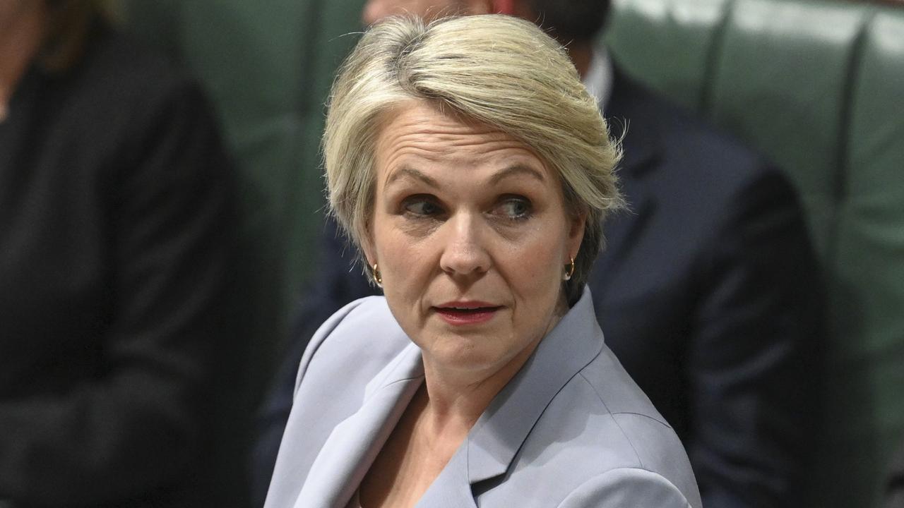 Andrew Bolt: Tanya Plibersek’s Decision On NSW Gold Mine Seems Reckless ...