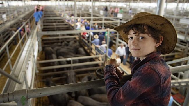 Nine-year-old Sam Boyd from Myrtleford was among the vendors at the Wodonga calf sale on January 6. Picture: Zoe Phillips