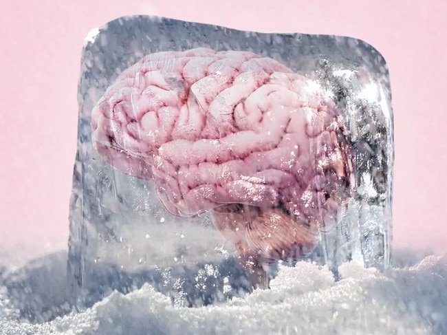 I can’t do cryogenics; I’d get brain freeze. Picture: