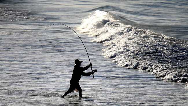 Where the fish are biting around the Northern Rivers | Daily Telegraph