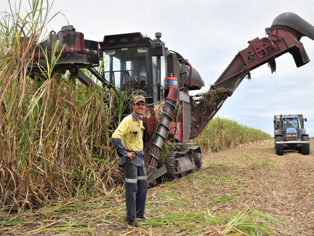 Fancy taking some probiotics to balance out your sweet tooth? In the bioindustries circular economy, Mackay sugar cane could potentially produce human probiotics. Pictured is Mackay sugar cane harvester Matt Vassallo on the last day of the 2020 crush. Picture: Heidi Petith