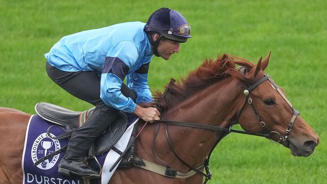 Durston during trackwork at Flemington Racecourse on October 25, 2022 in Flemington, Australia. (Photo by Scott Barbour/Racing Photos via Getty Images)