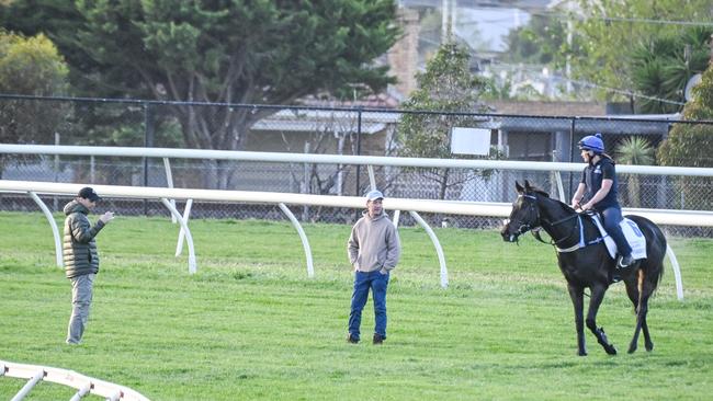 Trainer Ciaron Maher watches over import Sayedaty Sadaty at Werribee. Picture: Reg Ryan/ Racing Photos via Getty Images