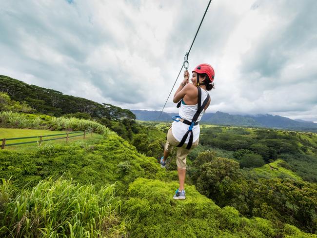 hawaii zipline honolulu        
        <figure class=