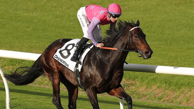 Regular jockey Tommy Berry will partner Trumbull in The Hunter.