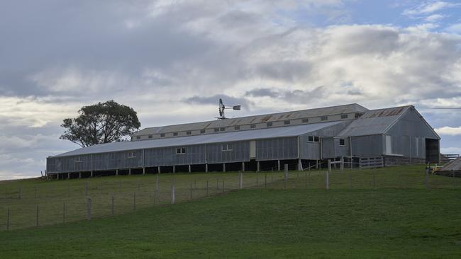 Barunah Plains shearing shed.