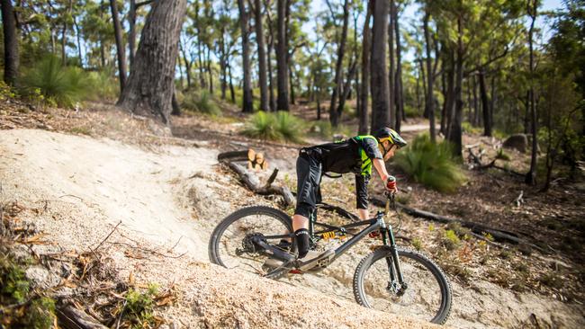 St Helens Mountain Bike Trails to be opened in November. Picture: JASPER DA SEYMOUR