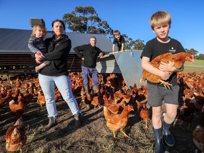 Mandy and Wes Humpage with their children Kip, Mack and Ted. Picture: Alex Coppel