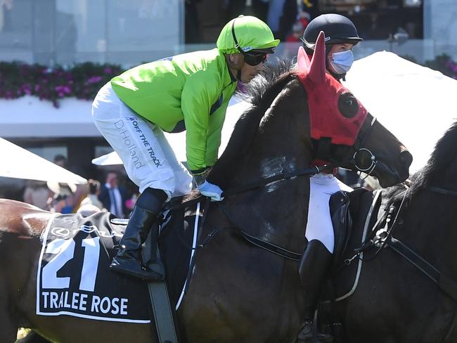 Tralee Rose (NZ) ridden by Dean Holland on the way to the barriers prior to the running of the Lexus Melbourne Cup at Flemington Racecourse on November 02, 2021 in Flemington, Australia. (Brett Holburt/Racing Photos via Getty Images)