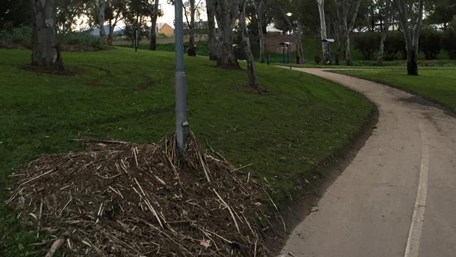 Flood damage at Linear Park near Ashwin Pde, Underdale, last September. Source: File