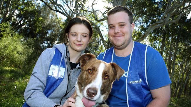 DoSomething Day 2017. L to R Volunteers Cassandra Gore and Joshua Wick with bloodhound cross kelpie Tarlee. Kemps Creek, Wednesday, July, 19, 2017. Animal Welfare League has volunteers at its Kemps Creek site today socialising and walking animals. (AAP Image/Angelo Velardo)