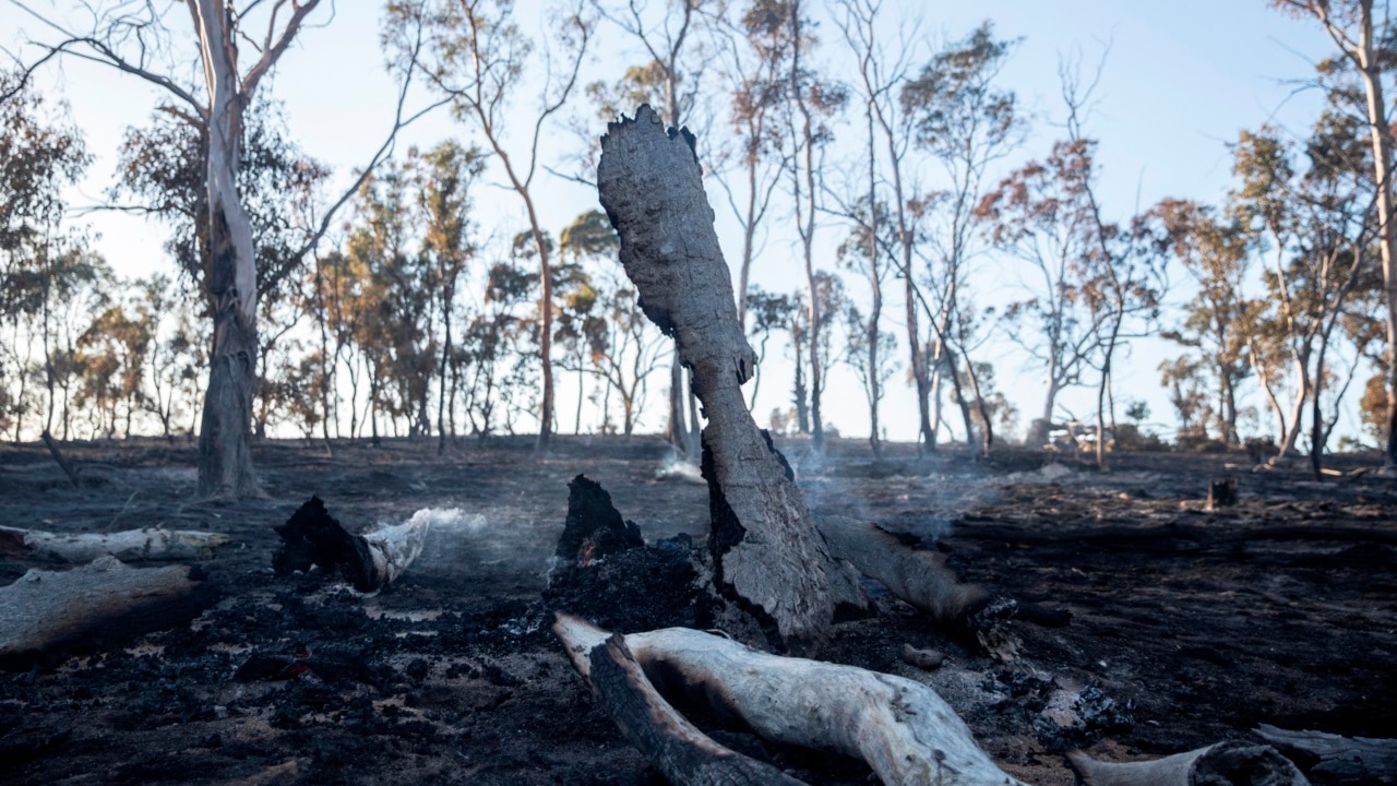 Authorities warn NSW residents to prepare for 'catastrophic' fire conditons