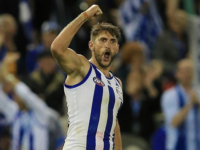 AFL: Round 6 North Melbourne v Western Bulldogs Jarrad Waite goal fPicture:Wayne Ludbey