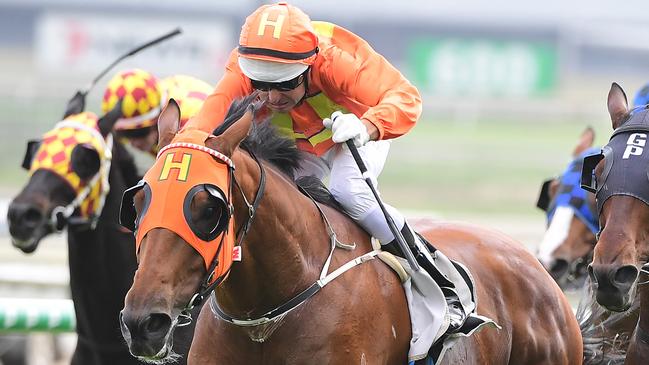 The Harrovian winning at Doomben. Picture: Trackside Photography