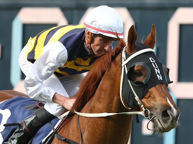 SYDNEY, AUSTRALIA - SEPTEMBER 23: Nash Rawiller riding Cepheus wins Race 7 NED Whisky Shannon Stakes during "Kia Golden Rose Day" - Sydney Racing at Rosehill Gardens on September 23, 2023 in Sydney, Australia. (Photo by Jeremy Ng/Getty Images)