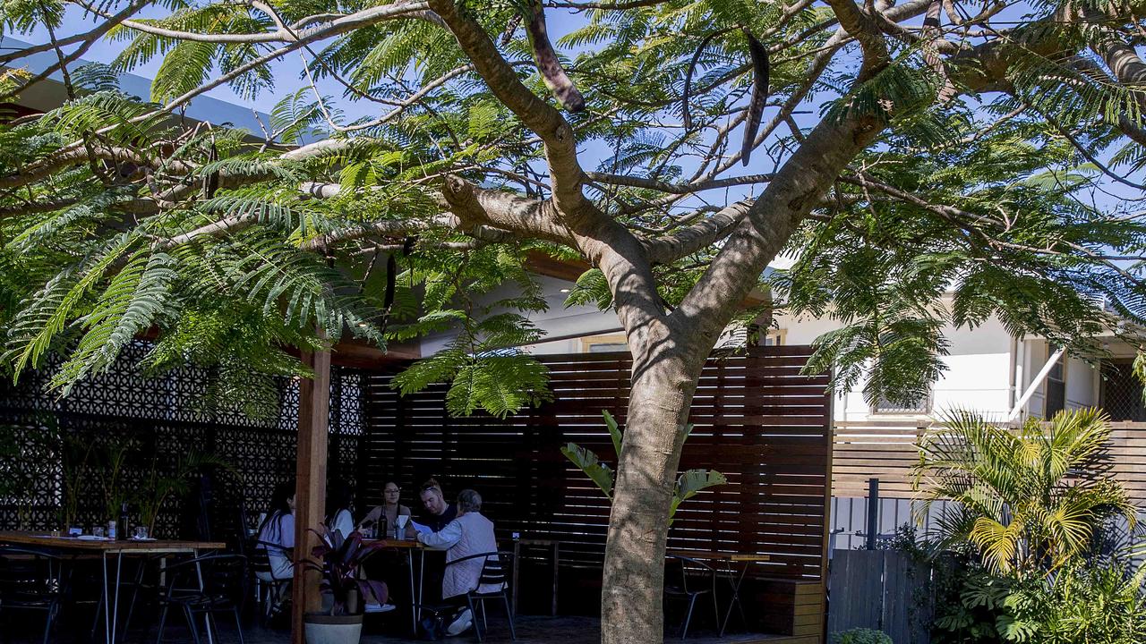 The backyard is filled with fruit trees. Picture: Jerad Williams