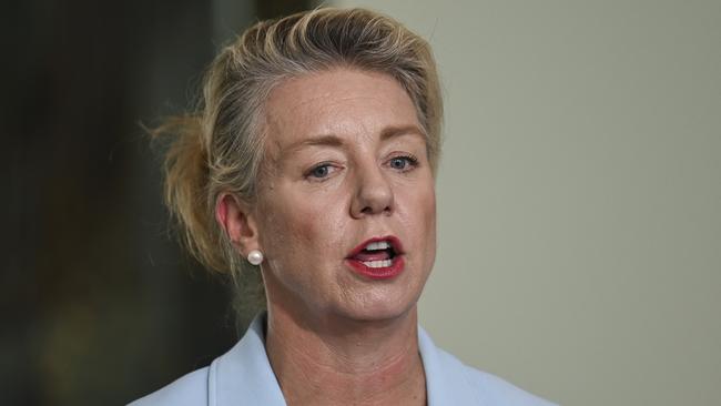 Senator Bridget McKenzie holds a press conference at Parliament House in Canberra. Picture: NCA NewsWire / Martin Ollman