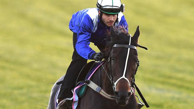Trainer David Hayes expects Jaameh to run a big race in the Lexus Stakes. Picture: AAP