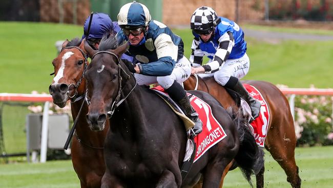 Sir Dragonet scored an impressive win in the Cox Plate. Picture: Getty Images