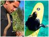 Surfing snake owner slapped with $2322 fine
