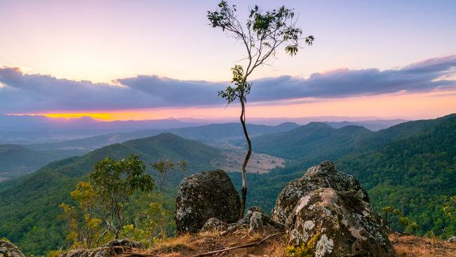 Luke's Bluff lookout on the O'Reilly's Plateau, Lamington National Park.