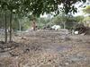 Westpac pioneers zero-deforestation commitment