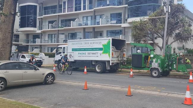 Two Norfolk Island pines are being torn down amid protests from residents on Marine Parade, Miami on the Gold Coast. Photo: Supplied