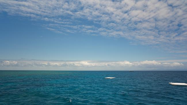 Marine biologists have been closely monitoring coral colonies at Agincourt Reef in efforts to protect and restore marine life in the Great Barrier Reef. Photo: Supplied.